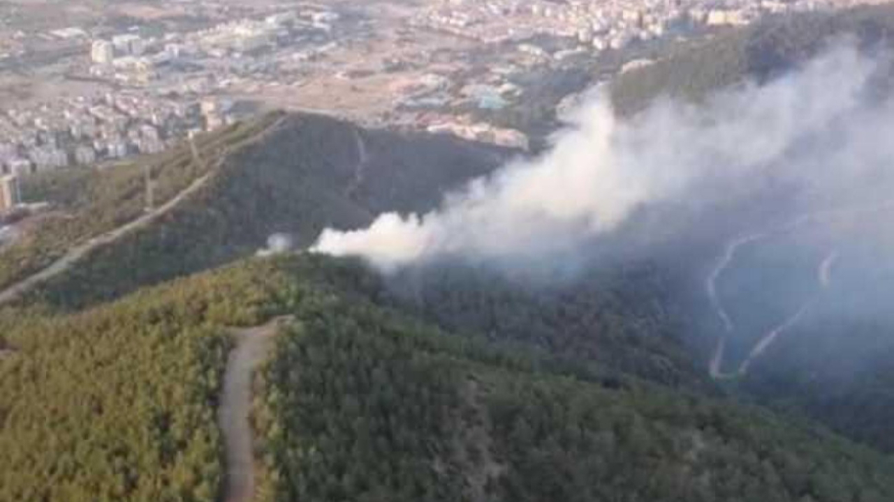 İzmir'de yangın! Havadan ve karadan müdehale ediliyor