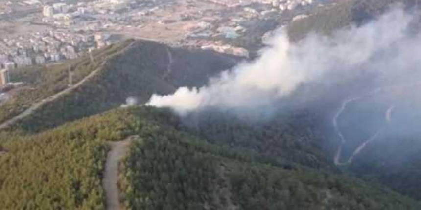 İzmir'de yangın! Havadan ve karadan müdehale ediliyor
