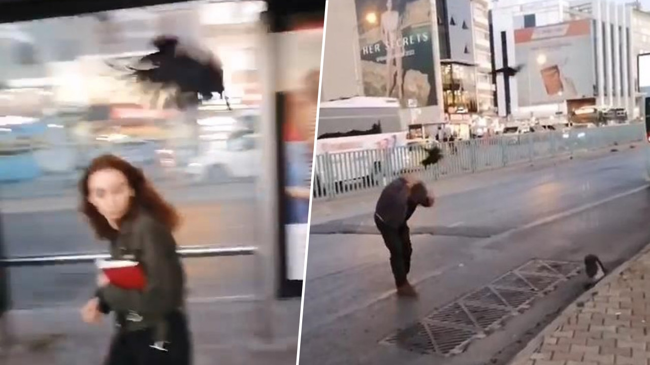 Kadıköy'de korku dolu anlar: Kargalar kaldırımdakilere saldırdı!