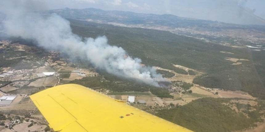 İzmir'de orman yangını! Havadan ve karadan müdahale ediliyor
