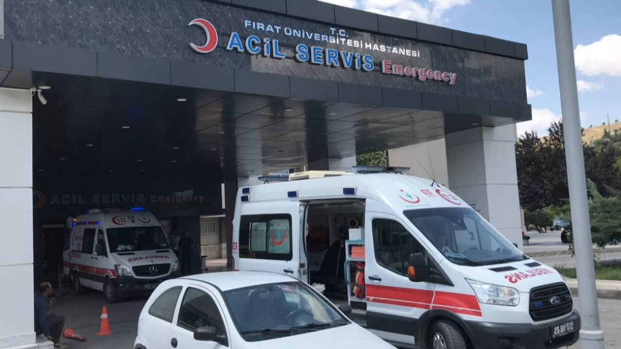 Çocuğu kene ısırdı! Semptomlar 5 gün sonra ortaya çıktı