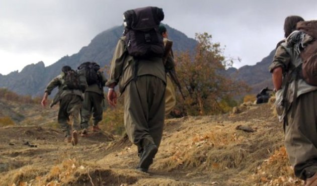 Aç kalan PKK'lı teröristler orman işçilerini rehin aldı...