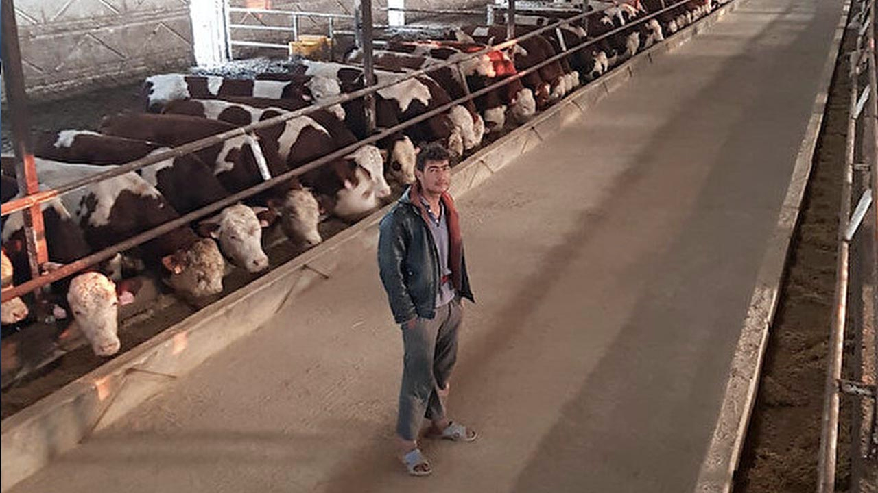 Böyle çoban görülmedi: Çalıştığı mandıradan her hafta hayvan çalıp kasaba kestirdi