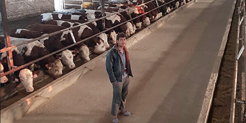 Böyle çoban görülmedi: Çalıştığı mandıradan her hafta hayvan çalıp kasaba kestirdi