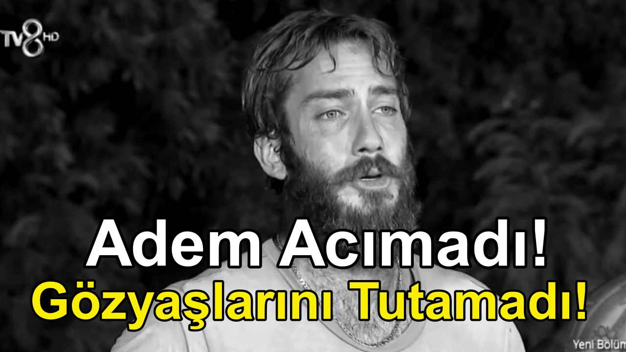 Survivor 2022'de Adem Kılıçcı, Ogeday'a Acımadı! Survivor Adem Adım Adım Şampiyonluğa Yürüyor!