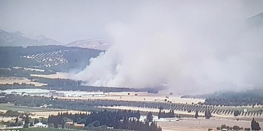 Foça'da orman yangını: Havadan ve karadan müdahale ediliyor