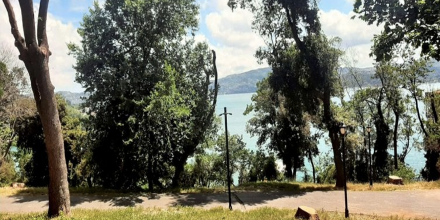 Emirgan Korusu'ndaki ağaç kıyımı tepki çekmişti: Suç tutanağı ortaya çıktı