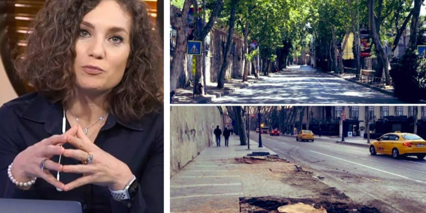 İBB'nin ağaç katliamlarını görmezden gelip hükümete yüklendi! Nevşin Mengü'ye tokat gibi yanıt vatandaşlardan geldi