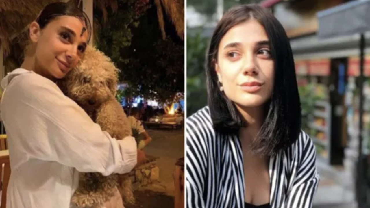AK Partili Şamil Tayyar'dan Pınar Gültekin tepkisi: HSK'yı göreve davet etti