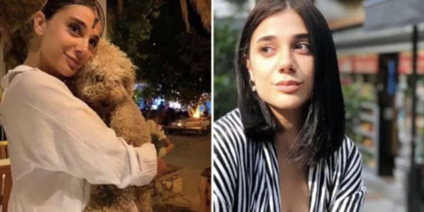 AK Partili Şamil Tayyar'dan Pınar Gültekin tepkisi: HSK'yı göreve davet etti
