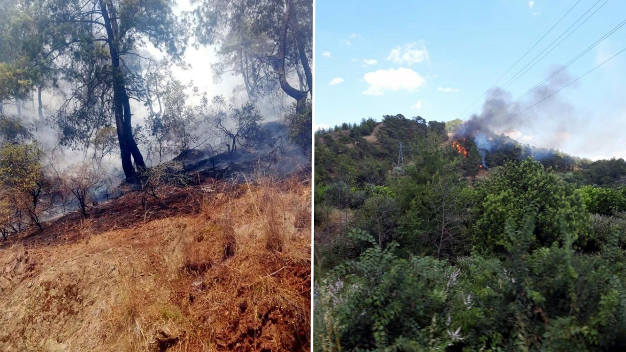 Muğla Dalaman'da korkutan orman yangını!