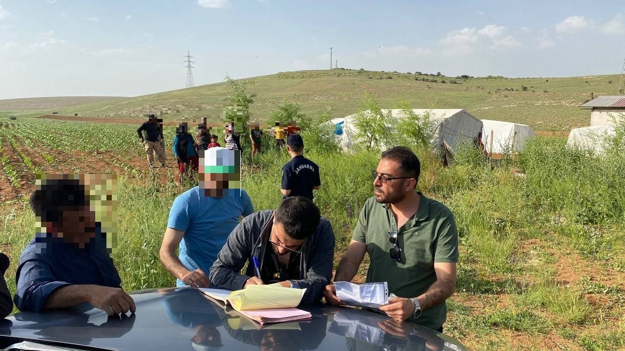 Kahramanmaraş'ta keklik avlayan şahsa 10 Bin TL ceza