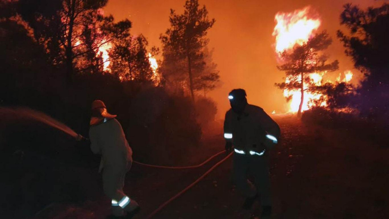 Marmaris'teki orman yangınıyla ilgili soruşturma başlatıldı!