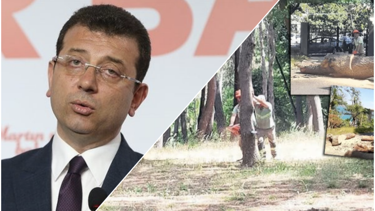 Ormanları katleden İmamoğlu'ndan şaka gibi açıklama: 'İstanbul'u yeşille buluşturduk'