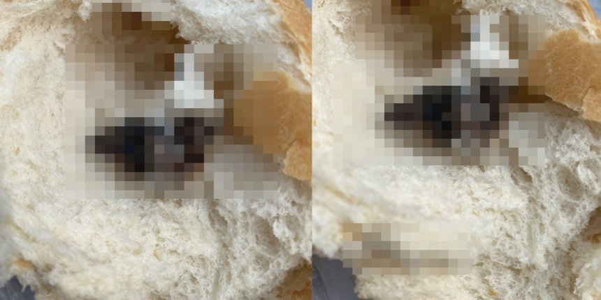 Piknik yapmaya gittiler, ekmeğin içinde gördükleri şeyle şok geçirdiler