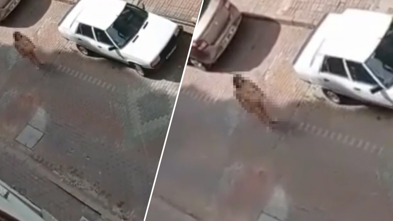İzmit'te şaşkına çeviren olay: Çırılçıplak halde sokağın ortasında bekledi!