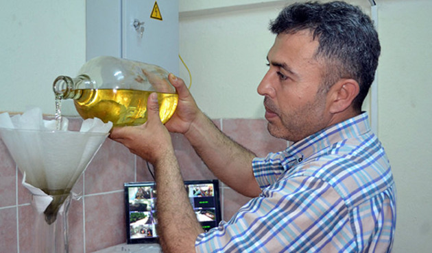 1.4 milyon tomurcuktan elde edilip kilosu 50 bin TL'ye satıyor!