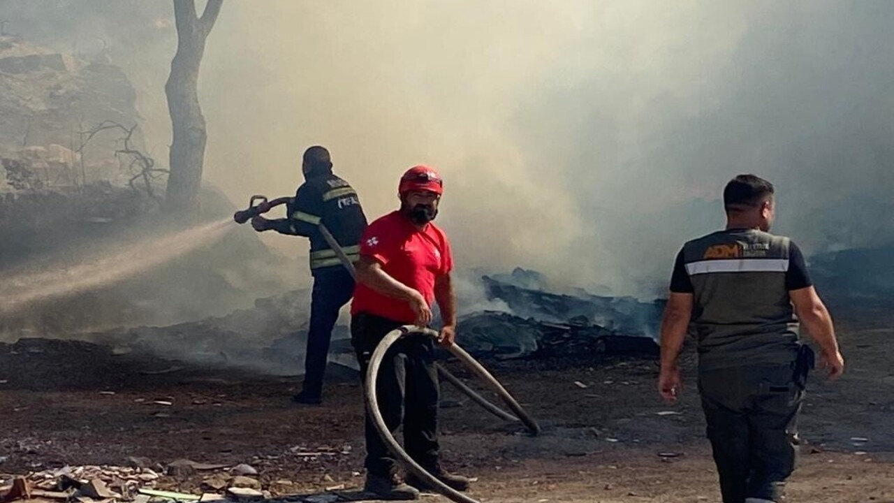 Bodrum'da panik! Fırında başlayan yangın, makilik alana sıçradı