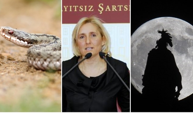 CHP'li eski milletvekili Melda Onur'un 'deprem tweeti' sosyal medyayı salladı