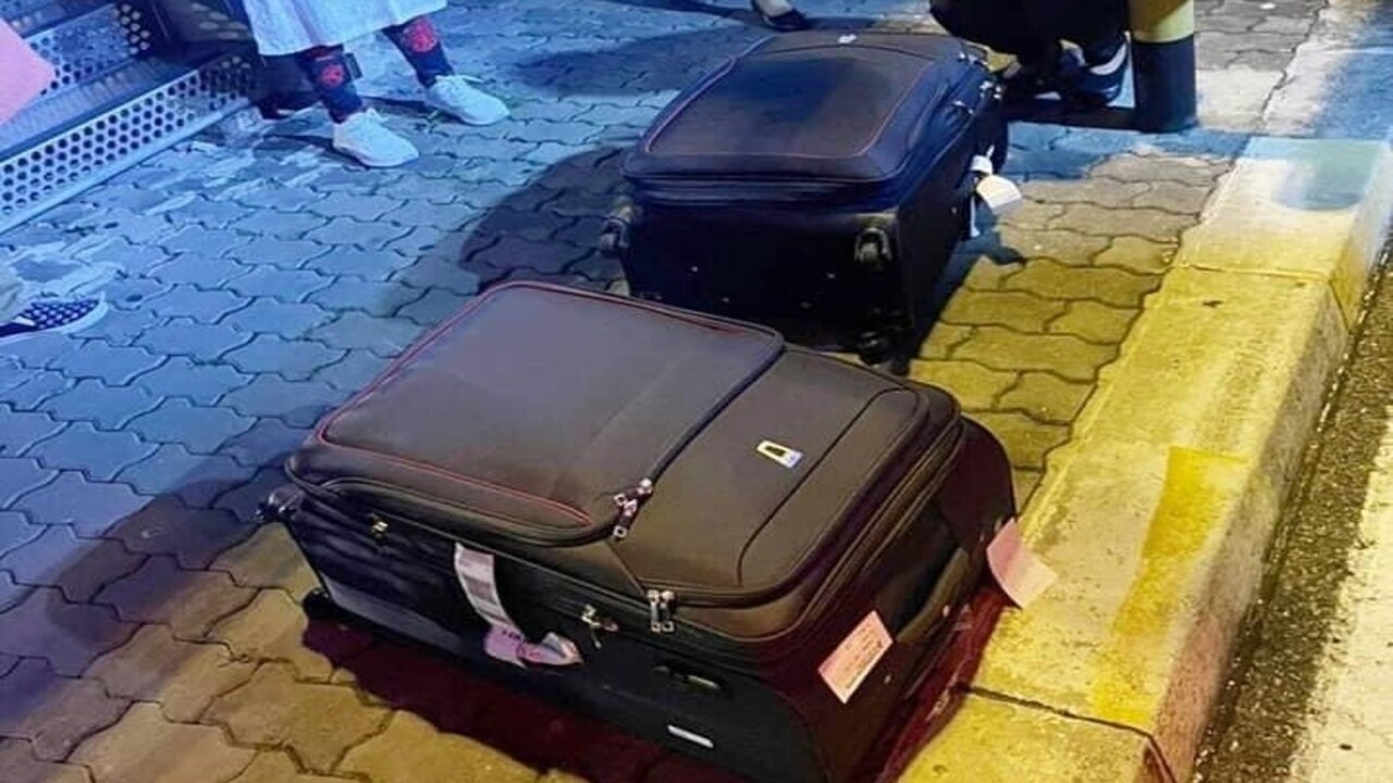 Tayland'da bavullarında 109 adet canlı hayvan taşıyan 2 kadın, yakayı ele verdi