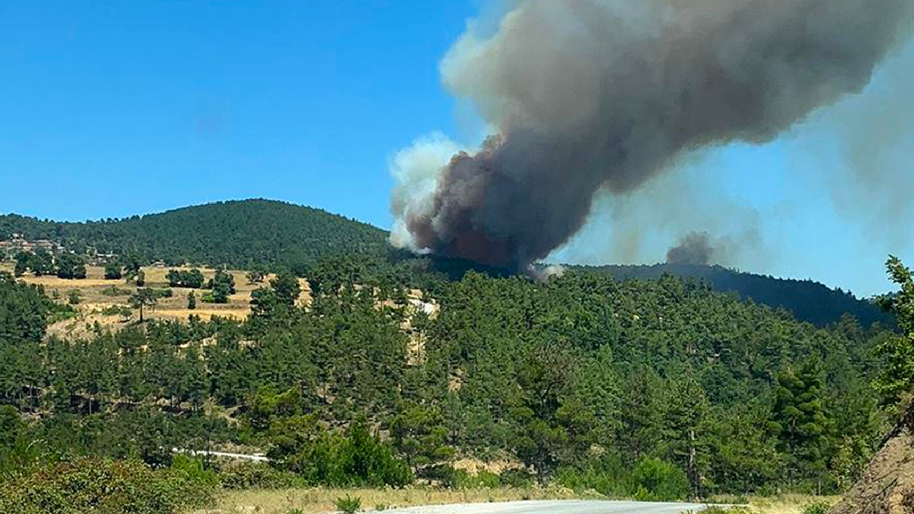Çanakkale'de yangın tedbiri! Ormanlara giriş yasaklandı