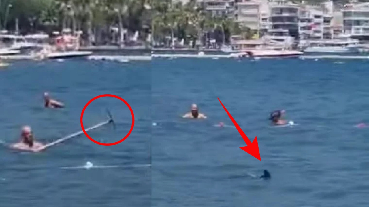 Marmaris'te köpekbalığı paniği: Paspasla kovaladılar!