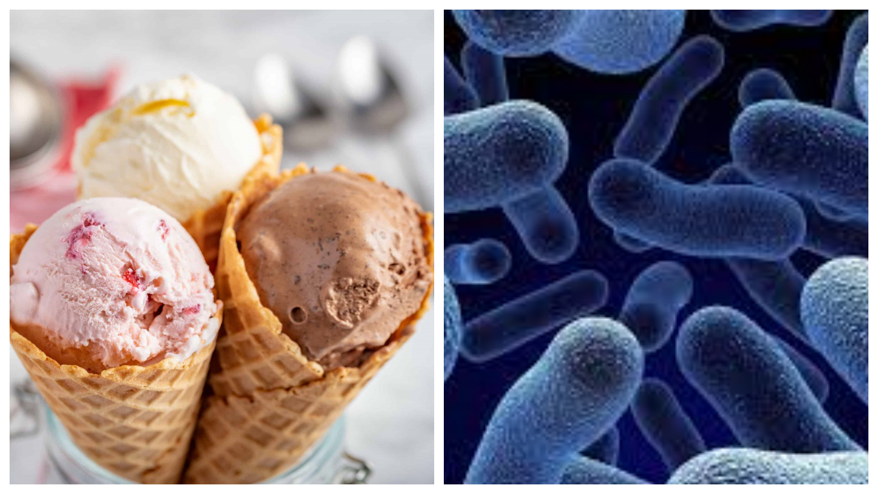 Listeriosis virüsü dondurmadan bulaştı; 23 vaka, 1 ölü