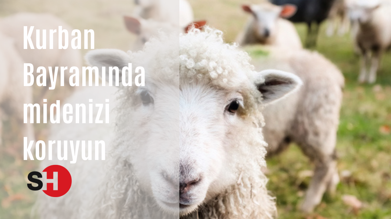 Kurban Bayramı’nda midenizi koruyun