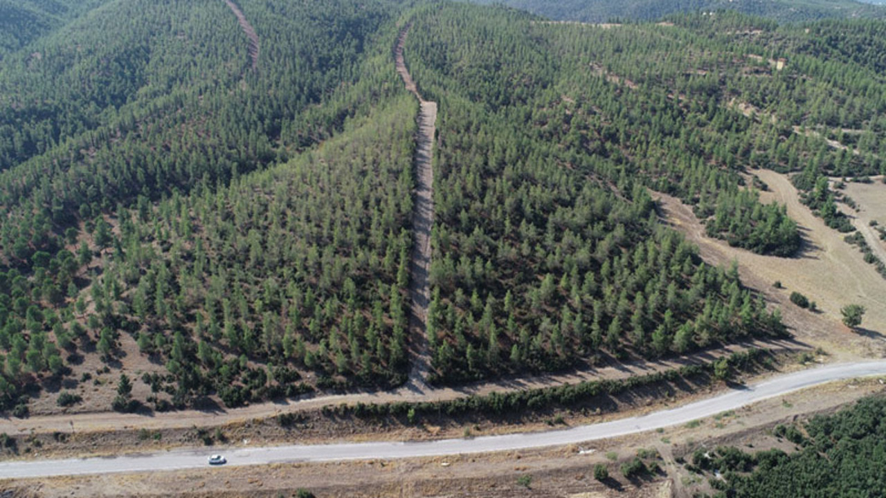 Denizli Valiliği duyurdu: Risk bölgesi ormanlık alanlarda kısıtlama