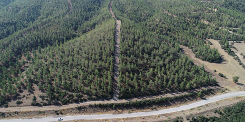 Denizli Valiliği duyurdu: Risk bölgesi ormanlık alanlarda kısıtlama