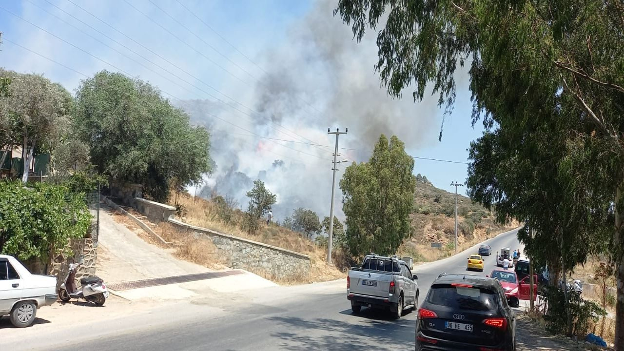 Bodrumda makilik alanda yangın