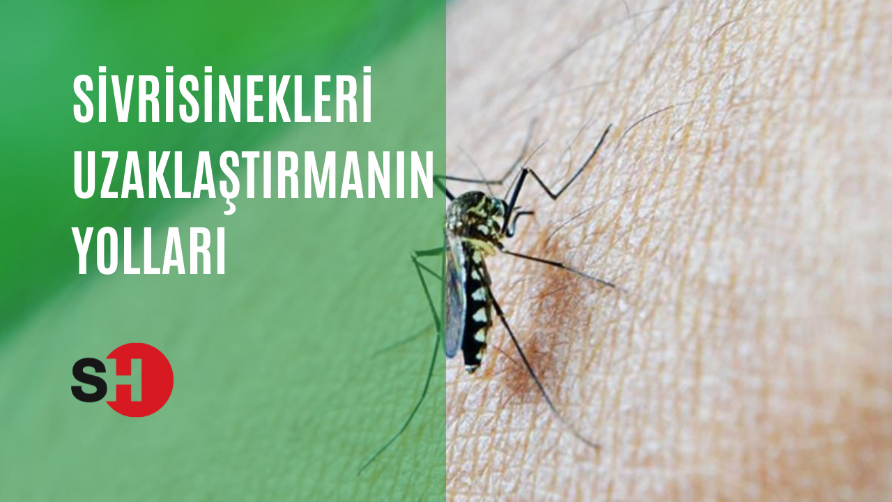 Sivrisinekleri kendinizden uzak tutmanın yolları