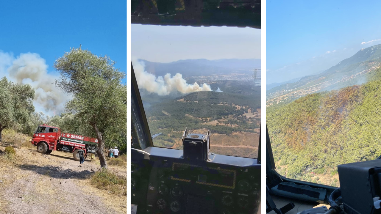 Bodrum’daki orman yangını kontrol altına alındı