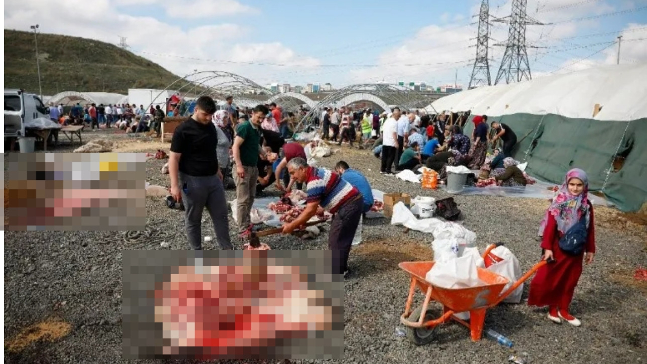 Kurbanlıklarını alan yol kenarına koştu: Kaçak kesim yapanlara ceza yağdı!