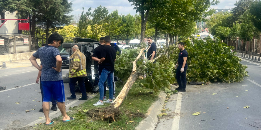Kurban kesiminden dönerken ağaçlara çarptılar: 3 yaralı