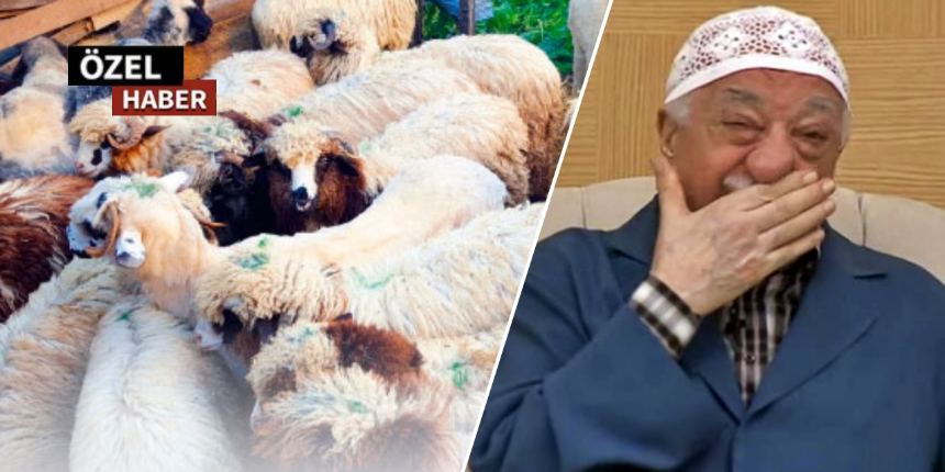 FETÖ Afrika'ya gönderilen 10 kurbandan birini kesti!