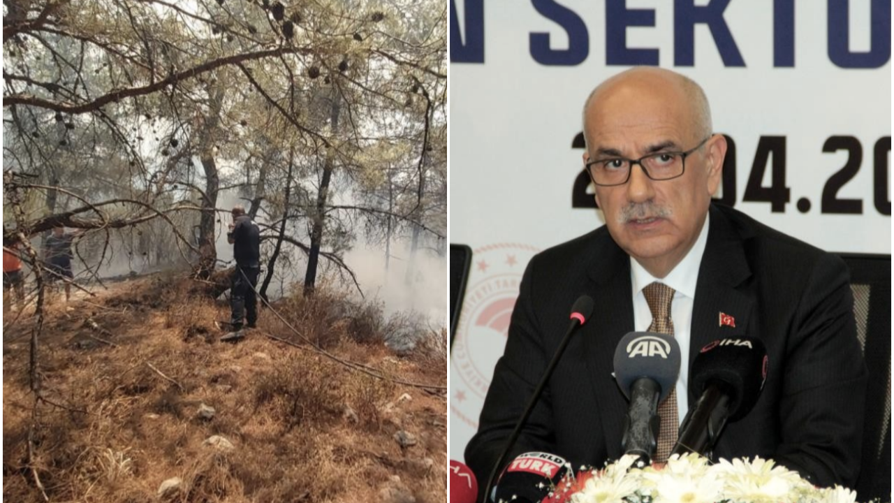 Datça yangınına 18 helikopter, 7 uçak müdahale ediliyor: Bakan Kirişçi bölgeye gidiyor