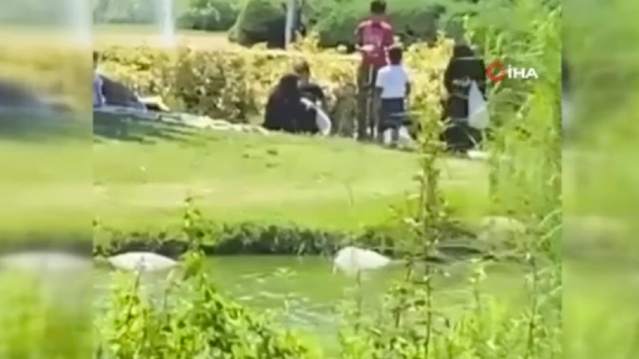 Göletteki kazları çantaya koyup götürmüşlerdi! Gerçek ortaya çıktı