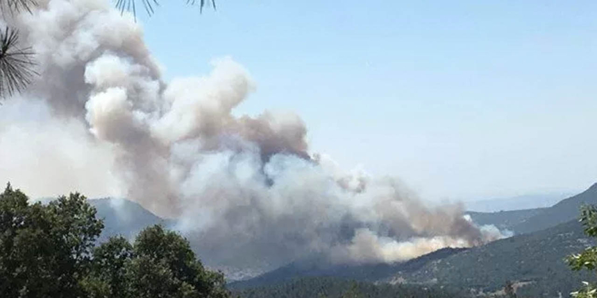 Balıkesir'de orman yangını: Havadan ve karadan müdahale ediliyor