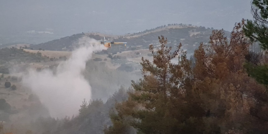 Aydın'da rüzgarın şiddetiyle kısa sürede büyüyen yangın kısmen kontrol altına alındı!