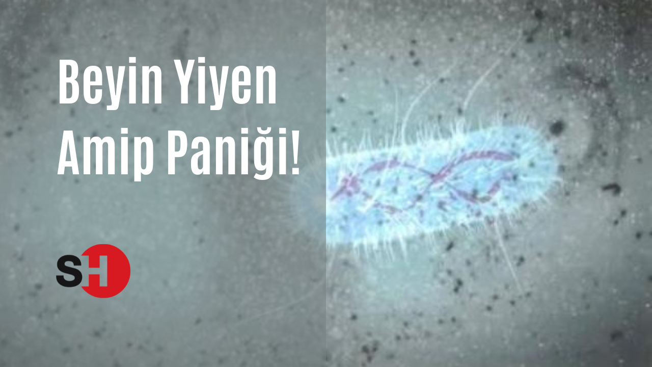 Beyin yiyen amip paniği! Yayılmaya devam ediyor