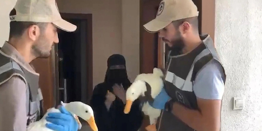 Başakşehir'i karıştıran ördeklere İçişleri Bakanlığı sahip çıktı! Artık koruma altındalar