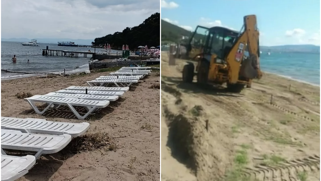 Büyükada'da halk plajında 'striknin' tehlikesi: Ölümle sonuçlanabilir!
