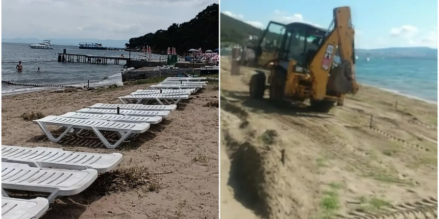 Büyükada'da halk plajında 'striknin' tehlikesi: Ölümle sonuçlanabilir!