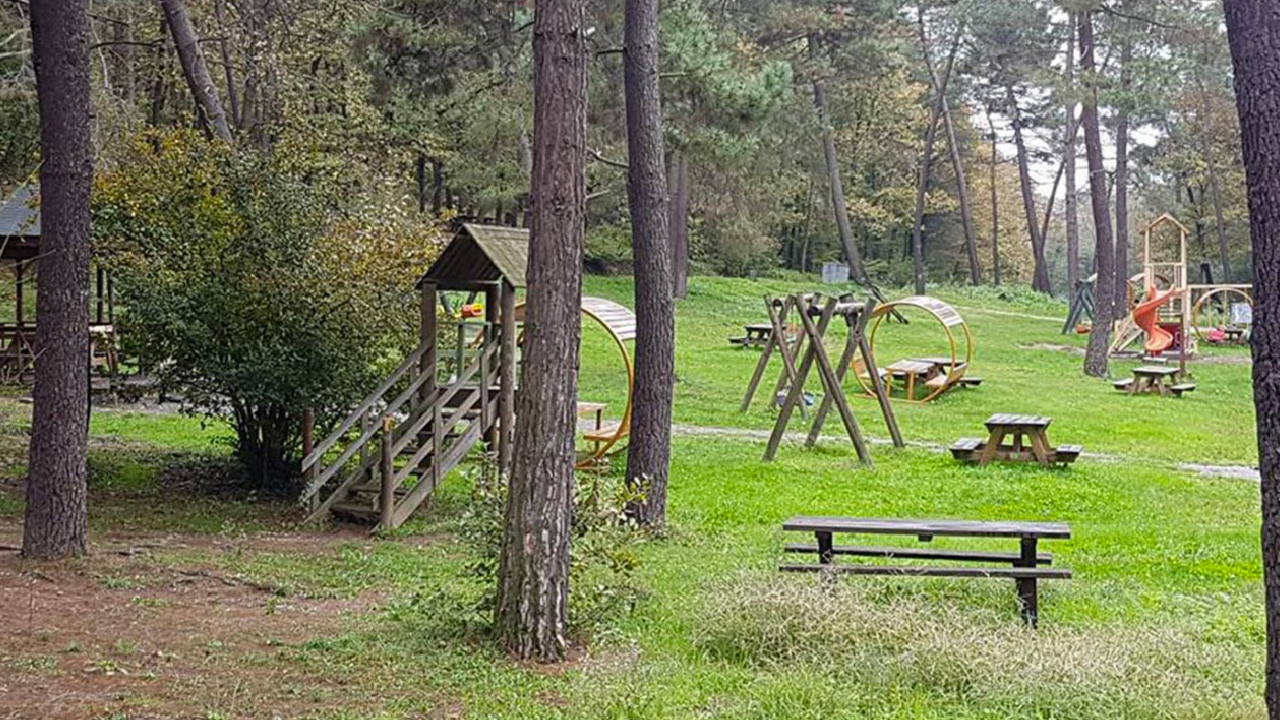 Bu şehirde piknik alanlarına giriş ve çıkışlar Ağustos sonuna kadar yasaklandı