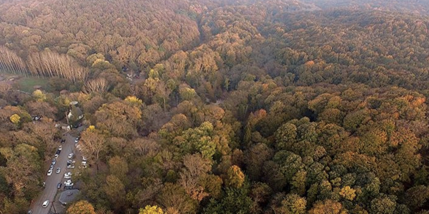 Aydın ve Tunceli'de ormanlara girişler yasaklandı