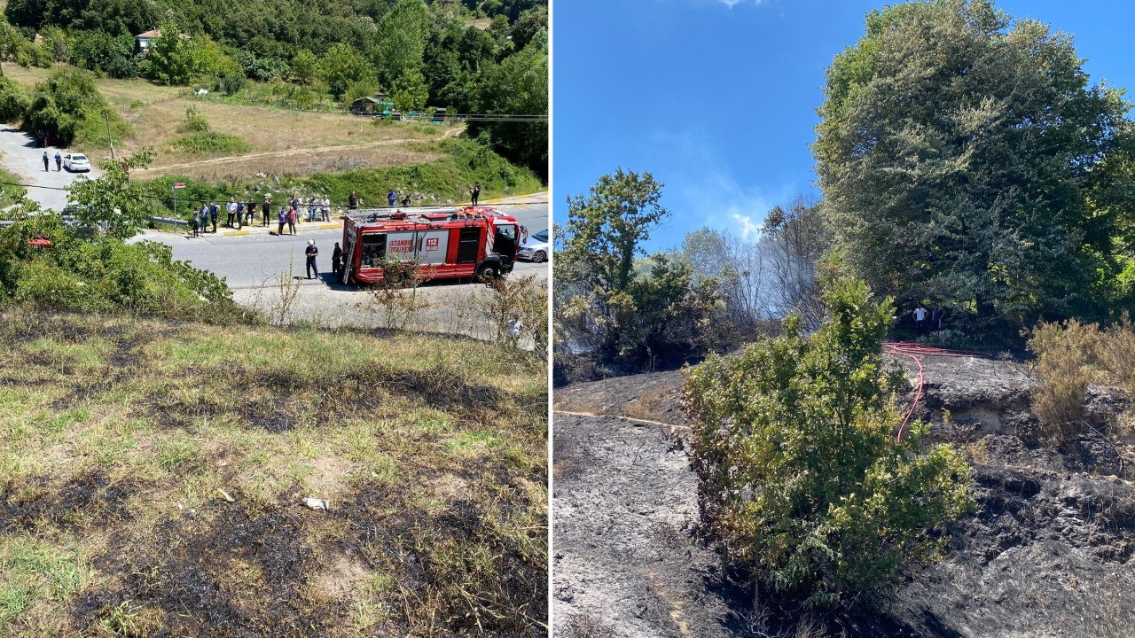 İstanbul Beykoz'da çıkan orman yangını söndürüldü!
