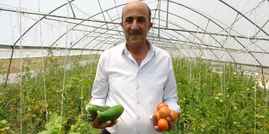 Hakkarili Mecit amcadan insanlık dersi: Serasındaki sebzeleri ihtiyaç sahiplerine bedava dağıtıyor!