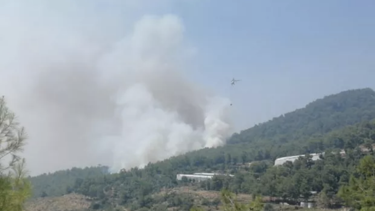Mersin'de orman yangını! 2 uçak ve 5 helikopterle müdahale ediliyor