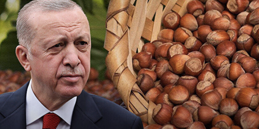 Cumhurbaşkanı Erdoğan açıkladı! 2022 fındık alım fiyatı 54 TL oldu